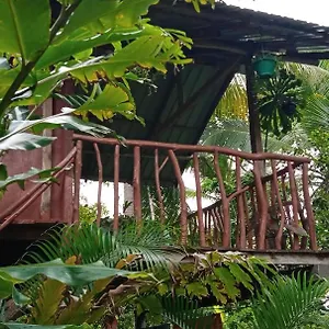 Sigiri Panaromic Tree House , Sigirîya Sri Lanka
